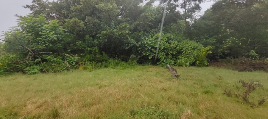 3 Bedroom Property for Sale in Greenbushes Eastern Cape